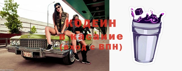 бошки Снежногорск