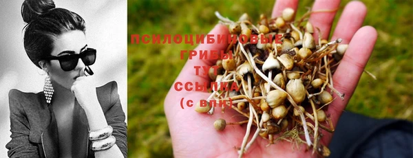 наркотики Белокуриха