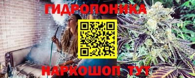 ALPHA PVP Малгобек