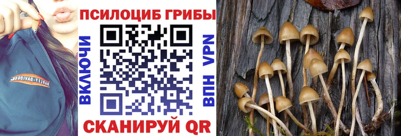 Псилоцибиновые грибы Cubensis Наро-Фоминск